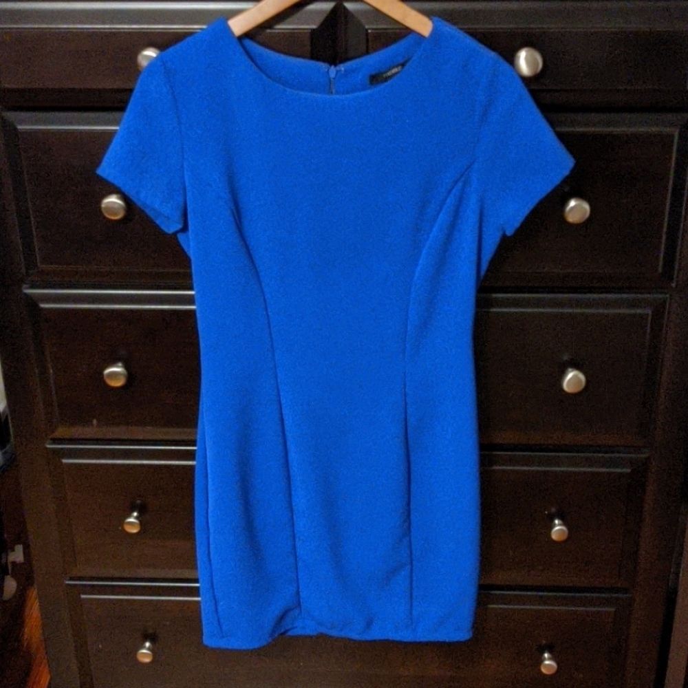 Fitted Dress
